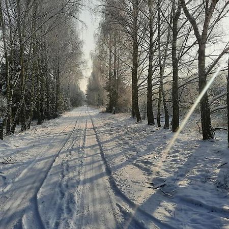 Domek Caloroczny Nad Jeziorem Budzislawskim, Wielkopolska Na Wynajem Anastazewo Eksteriør billede