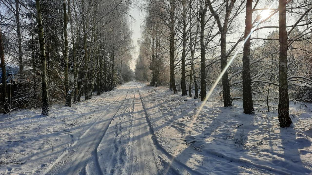 Domek Caloroczny Nad Jeziorem Budzislawskim, Wielkopolska Na Wynajem Anastazewo Eksteriør billede