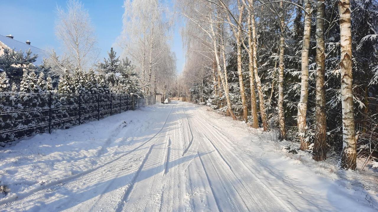 Domek Caloroczny Nad Jeziorem Budzislawskim, Wielkopolska Na Wynajem Anastazewo Eksteriør billede